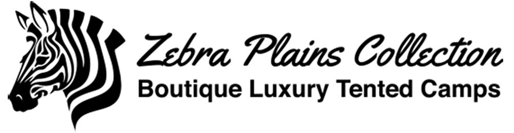 Logo-Zebra Plains Collection