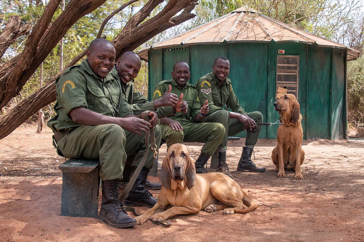 220727 big lifes tracker dog unit