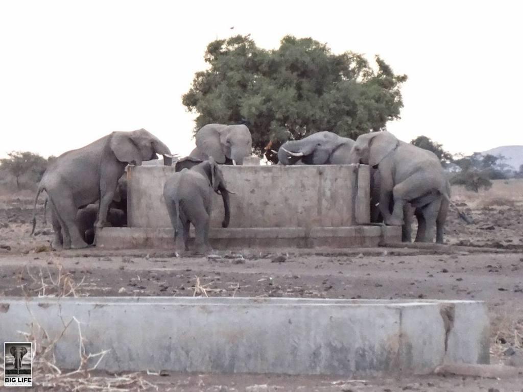 150122 1 1 The Liquid Gold of Amboseli